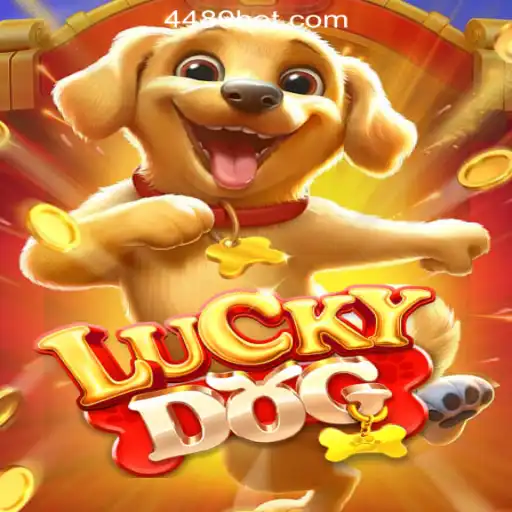 Exploring the Thrilling World of LuckyDog: An In-depth Guide to 448bet.com Oficial Slots Brasil #1